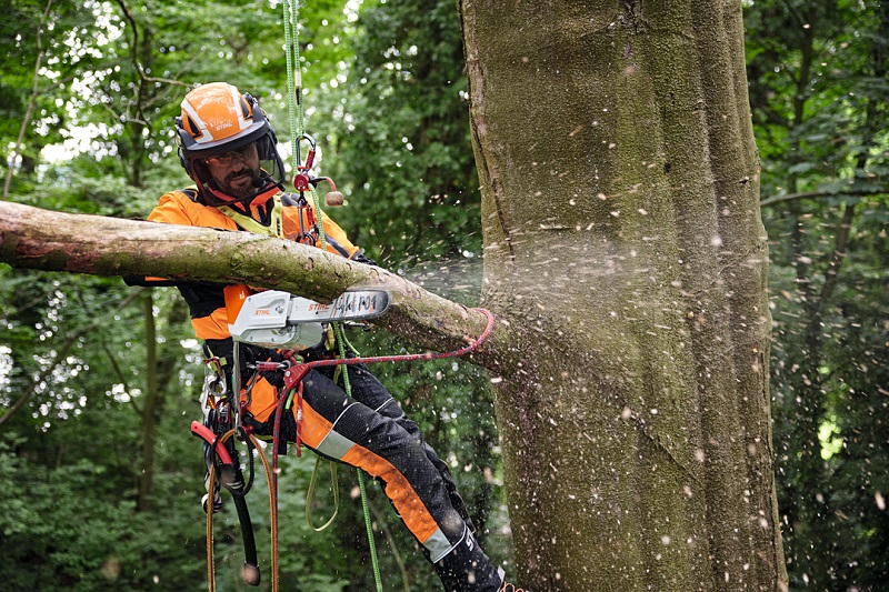 STIHL 2